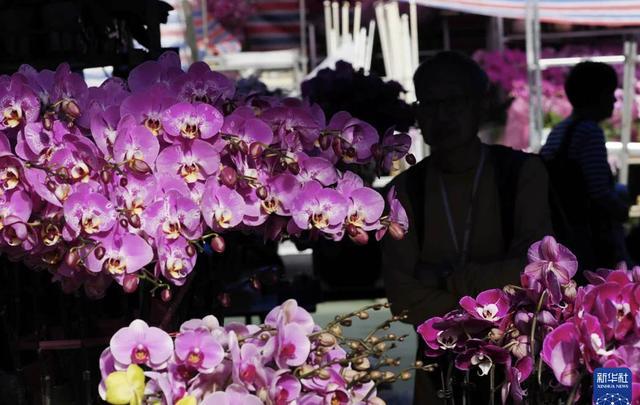 马年春潮涌消费正奔腾丨中听(图5)