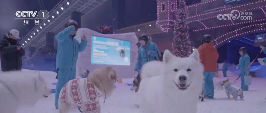 透过“科技旅拍”“电子年货”“冰雪+宠物”解锁春节消费新亮点(图9)